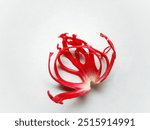 example of red mace from old nutmeg

