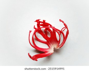 example of red mace from old nutmeg

