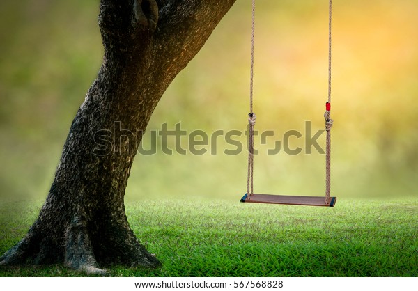 Example Swings Teddy Bear Sitting Prettyswing Stock Photo