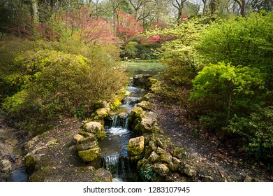 Exbury Gardens, New Forest Hampshire UK