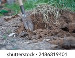 An excavated area of land by hand with a shovel containing large pieces of soil. Digging soil, farming, digging up hidden treasures, burial, grave digging