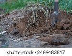 An excavated area of land by hand with a shovel containing large pieces of soil. Digging soil, farming, digging up hidden treasures, burial, grave digging.