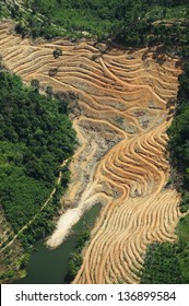 Excavated Forest For Agriculture - Arial View