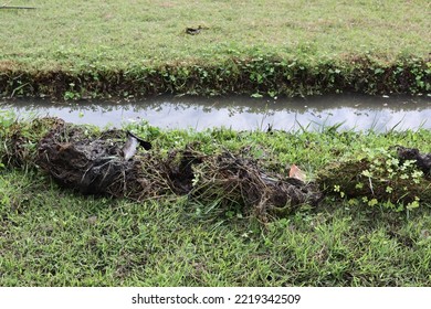 Excavation Of Soil, Drainage Channels That Are Covered With Weeds, Causing Flooding.