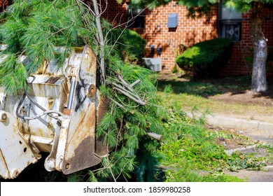 Excavator Clearing Land From Roots And Branches Trees With Dirt And Trash Yard Work Backhoe Machinery