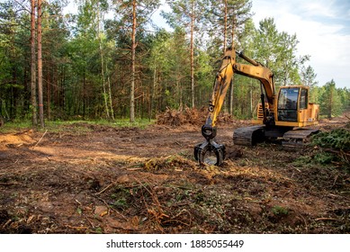 Excavator Grapple during clearing forest for new development. Tracked Backhoe with forest clamp for forestry work. Tracked timber Crane and Hydraulic Grab log Loader.