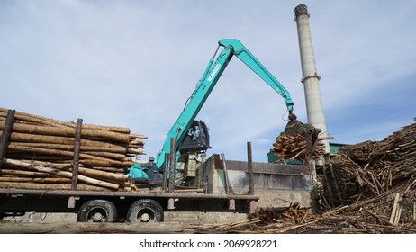 An Excavator Is Loading And Unloading Eucalyptus Wood, This Wood Is Used As Pulp Or Paper Raw Material. Porsea, Indonesia - October 14, 2021