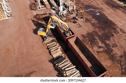 Excavator with log grab crane unloads timber from freight car. Crane with claw loads logs onto log train for lumber mill. Illegal logging and timber export. Wood Machine and Log Grabbing.