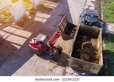 Excavator Shovel Working On A Cow Farm Carries Manure To Tractor, Aerial View