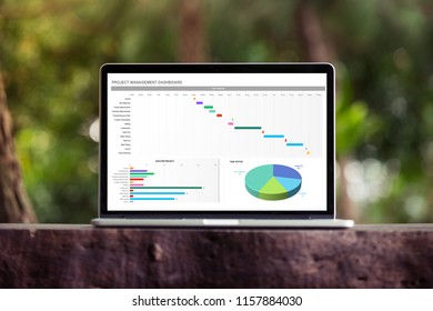 Excel Project Dashboard On Laptop / Computer Screen Concept