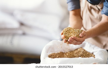 Excellent quality brewing grains, craft beer ingredients, alcohol drink industry. Millennial brewer or worker with tattoos holds malt in hands on white bag in warehouse, selective focus, panorama - Powered by Shutterstock