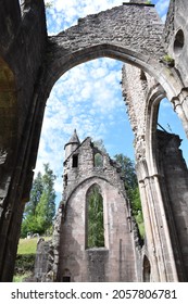 Excerpt from a ruiner of a fairytale castle