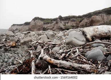 Excessive Amounts Of Driftwood

Half Moon Bay Is A Coastal City In San Mateo County, California, United States. Its Population Was 11,324 As Of The 2010 Census. 