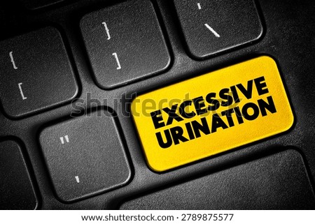 Excessive Urination is when you need to urinate many times throughout a 24-hour period, text button on keyboard, concept background