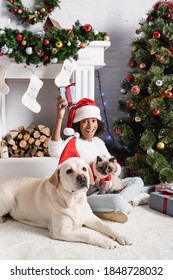 Excited African American Girl Holding Gift Box While Sitting Near Christmas Tree With Fluffy Cat And Labrador Dog