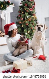 Excited African American Girl Looking At Labrador Dog While Holding Cat Near Christmas Tree