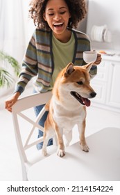 Excited African American Woman With Cup Of Coffee Laughing Near Shiba Inu Dog In Kitchen