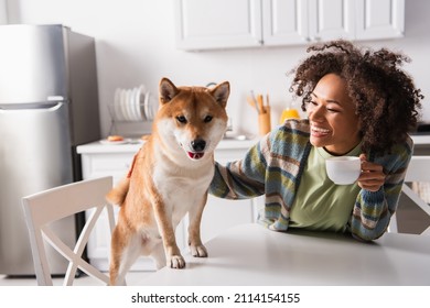 Excited African American Woman Holding Cup Of Coffee Near Shiba Inu Dog In Kitchen