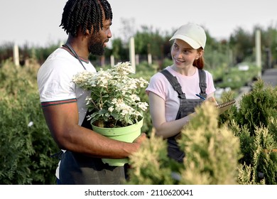 Excited Caucasian and black farmers standing in greenhouse talking, taking notes. Bearded black man holding flower plant in pot,redhead woman with paper, writing, talking. Commercial gardening - Powered by Shutterstock