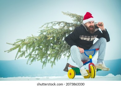 Excited Cyclist In Santa Hat With Pine Christmas Tree On Kids Bicycle. Happy Hipster Carrying Xmas Tree On White Snow. Man Riding Tricycle On Snowy Landscape