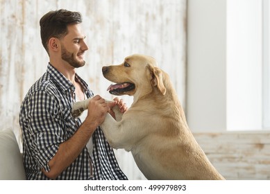excited dog looking at its owner