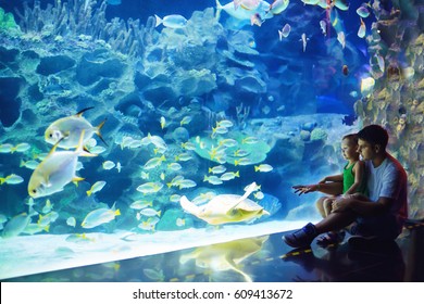 excited father and son watching the marine life in oceanarium