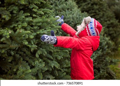 excited little boy choosing christmas tree at the market, winter holiday concept