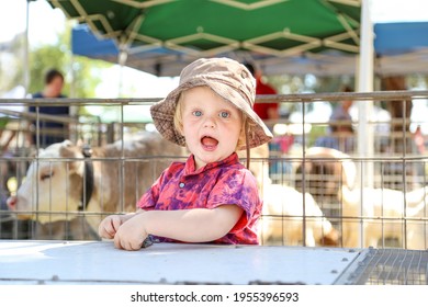 Excited Little Boy At County Fair Looking At Farm Animals In Competition