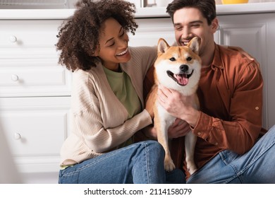 Excited Multiethic Couple Hugging Shiba Inu Dog In Kitchen