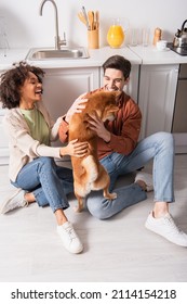 Excited Multiethnic Couple Having Fun With Shiba Inu Dog On Floor In Kitchen