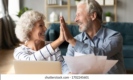 Excited older couple giving high five, mature family celebrating success, checking or paying domestic bills, planning budget, smiling mature man holding financial documents, reading good news - Shutterstock ID 1702245601