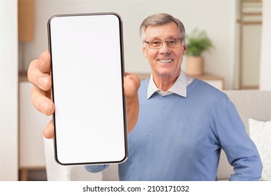 Excited senior man in glasses showing big white empty smartphone screen to camera, recommending website or app, resting at home. Check this cellphone display mock up