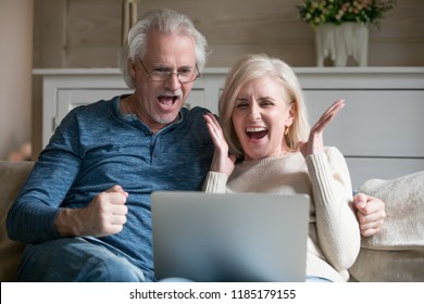 Excited Senior Middle Aged Old Couple Watching Celebrating Amazing Victory Winning Online Auction Bid Or Bet Together, Elderly Mature Man And Woman Motivated By Good News Looking At Laptop Screaming