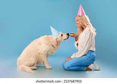 Excited young lady in party hat celebrating her dog's birthday, cheerful millennial owner holding b-day cake with candle in hand, greeting labrador, pet licking pie isolated on blue studio background