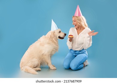 Excited young woman in party hat celebrating her dog's birthday, cheerful millennial owner lady greeting labrador with small b-day cake, presenting pie with candle, isolated on blue studio background