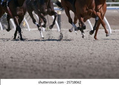 Exciting motion blur of speeding race horses