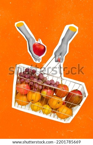 Exclusive minimal magazine sketch collage of hands hold shopping basket buy groceries apples mangos oranges lemons grapes healthy nutrition