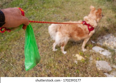 excrement bag for walking dogs europe