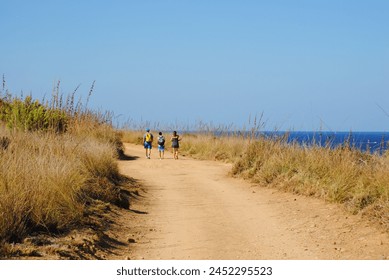 excursionists walking on a path