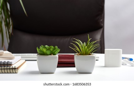 executive workplace, empty brown leather armchair, notepads on white table, flowerpots with green plants