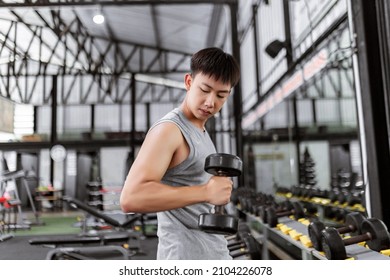 Exercise Concept The Sweaty Guy In Grey Top Looking Down And Doing Hammer Curl Posture Of Dumbbell With His Right Arm.