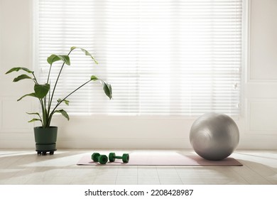 Exercise mat, dumbbells, fitness ball and houseplant near window in spacious room
