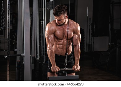 Exercise for triceps. - Powered by Shutterstock