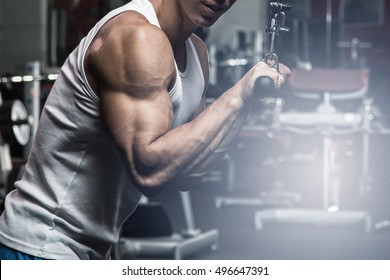 Exercise For Triceps In The Gym