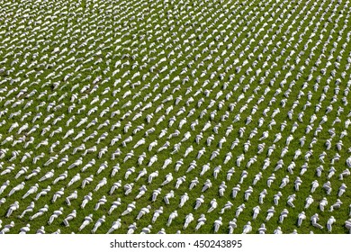 Exeter, Devon, UK, July 6 2016 - Artist Rob Heards Installation At A Public Park Exeter, Symbolising The 19240 Troops That Died On The First Day Of The Battle Of The Somme By Creating 19240 Figurines