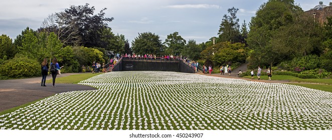 Exeter, Devon, UK, July 6 2016 - Artist Rob Heards Installation At A Public Park Exeter, Symbolising The 19240 Troops That Died On The First Day Of The Battle Of The Somme By Creating 19240 Figurines