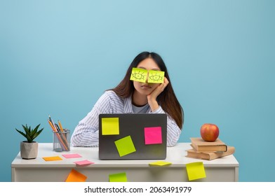 Exhausted student. Portrait of overworked lady sitting at desk with stickers on eyes and using laptop, doing tiresome tasks over blue studio background