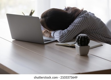 Exhausted Tired Office Worker, Employee Woman Sleeping At Workplace, Placing Head On Desk At Laptop, Feeling Fatigue, Burnout Suffering From Lack Of Energy, Low Productivity. Overwork Concept