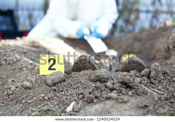 Exhumation: Forensic\
science specialist at\
work