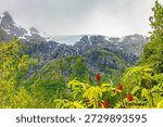 Exit Glacier flows between rugged mountain peaks with summer vegetation and wildflowers in the foreground in Alaska.